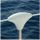 Ocean 4pz Copri Candeliere Clip-on Stanchion 100x70x34mm Bianco #LZ197757