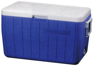 Icebox 45,7Lt 640x370x340mm Blue and White #FNI2424548