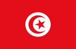 Bandiera Tunisia 20x30cm #OS3543801