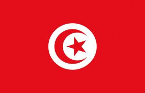 Bandiera Tunisia 20x30cm #OS3543801