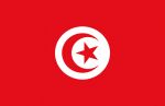 Bandiera Tunisia 30x45cm #OS3543802