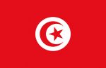 Bandiera Tunisia 30x45cm #OS3543802