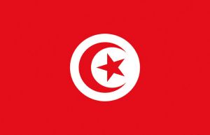 Tunisia Flag 30x45cm #OS3543802