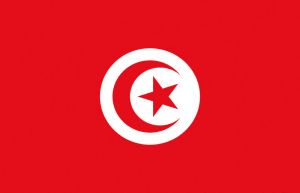 Bandiera Tunisia 40x60cm #OS3543803