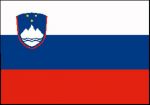 Bandiera Slovenia 40x60cm #OS3544103