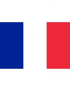 France Flag 70x100cm #OS3545605