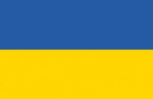 Ukraine Flag 20x30cm #OS3546201