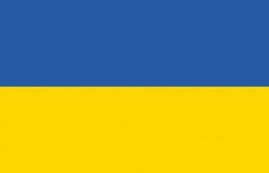 Ukraine Flag 40x60cm #OS3546203
