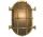 Lampada tartaruga ovale 130 x 175 mm #OS3220360
