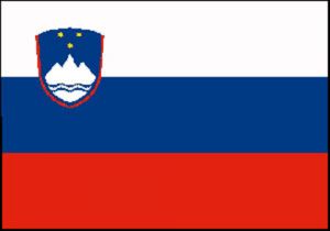 Flag of Slovenia 30X45cm #N30112503693