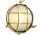 Lampada tartaruga 190 mm #OS3222900