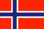Bandiera Norvegia 20X30cm #FNI5252353