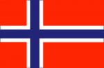 Flag of Norway 20X30cm #FNI5252353