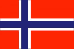 Bandiera Norvegia 20X30cm #FNI5252353