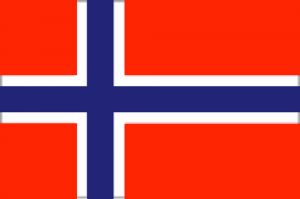 Flag of Norway 20X30cm #FNI5252353