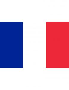 Flag of France 20X30cm #N30112503735