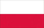 Bandiera Polonia 20x30cm #N30112503695