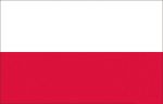 Poland Flag 20x30cm #N30112503695