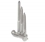 Seatop Stainless steel A2 UNI 704 DIN 571 6x60mm Wood Screws 10pcs #N44590006946