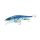 Olympus Xminnow Rapala 11cm 15g SAR #OLY00333061