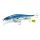 Olympus Xminnow Rapala 11cm 15g SAR #OLY00333061