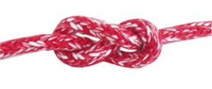 Lightdy Very High Tenacity Braid Ø 6/7mm 100mt spool Red #FNI0804706R