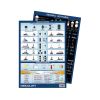 Tabella Segnali Visivi Diurni e Notturni Obbligatori COLREG72 210x297mm N30112621806