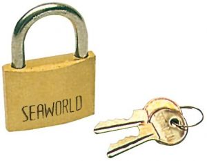 Brass Padlock - S.S. Arch - Arch 30 mm #OS3802430